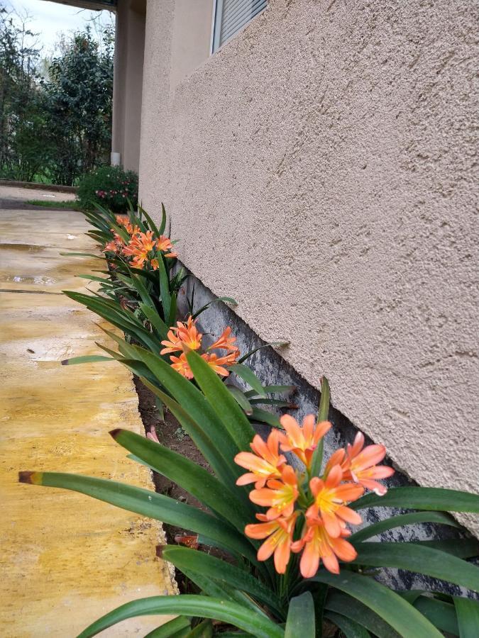 Orange Apartman Río Cuarto Kültér fotó